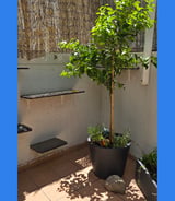 עוזרתלי - עוזרת בית ב-תל אביב-יפו - מנקה פעם ב-3 שבועות לדירת 3 חדרים עם חצר - לניקיונות יסודיים