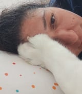 עוזרתלי - דוגסיטר ב-חיפה - רויטל ל.