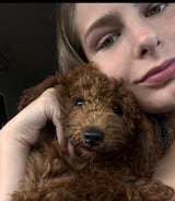 עוזרתלי - דוגסיטר ב-חיפה - Nastiya ל.