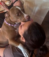 עוזרתלי - דוגסיטר ב-גבעתיים - נעם ו.