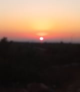 עוזרתלי - עוזרת בית ב-בת ים - דניאל ד.