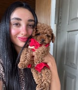 עוזרתלי - דוגסיטר ב-תל אביב-יפו - נועה פ.