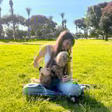 עוזרתלי - דוגסיטר ב-כפר סבא - אופיר ר.