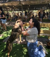 עוזרתלי - דוגסיטר ב-ירושלים - בר ס.